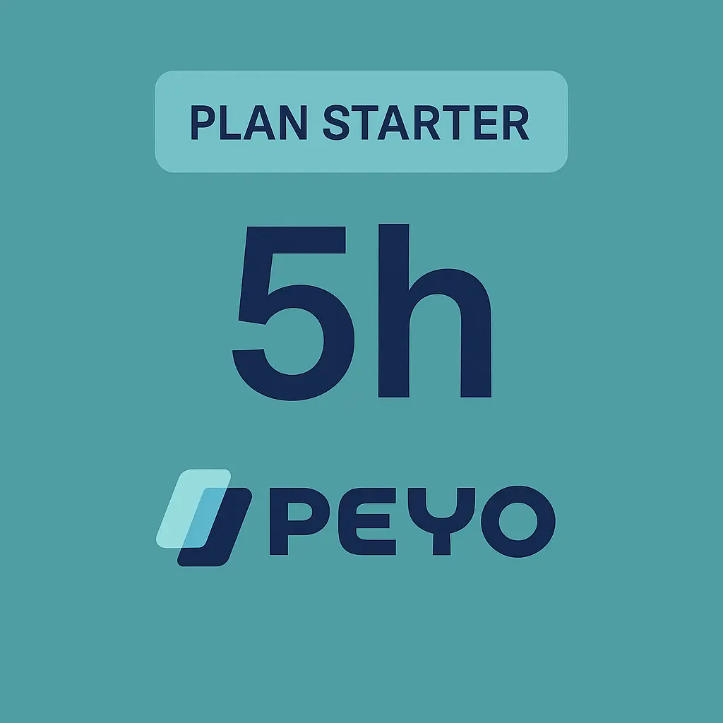 Consultoría Fintech Starter (5 horas)