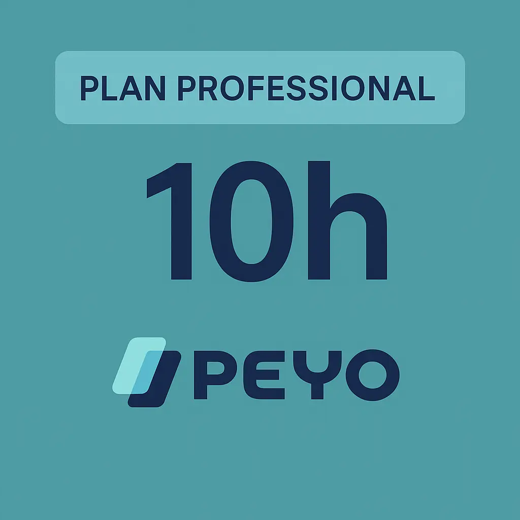 Consultoría Fintech Professional (10 horas)