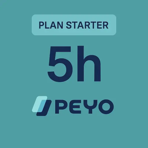 [Peyo001] Consultoría Fintech Starter (5 horas)