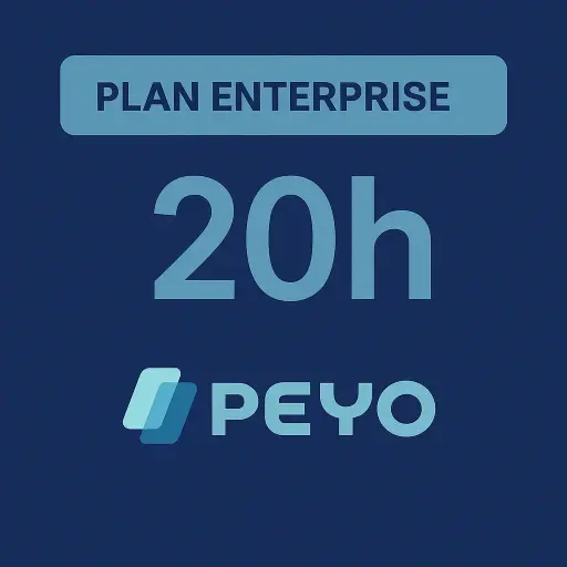 [Peyo003] Consultoría Fintech Enterprise (20 horas)